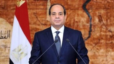 الرئيس السيسي ينعى ضحايا الطائرة المنكوبة في السعودية