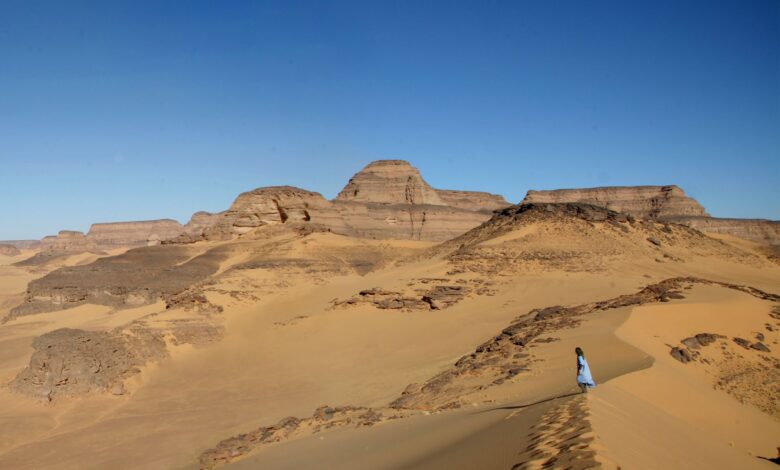 اكتشاف أحفوري في ليبيا