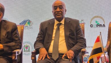 السفير محمد أبو بكر، نائب وزير الخارجية للشؤون الأفريقية