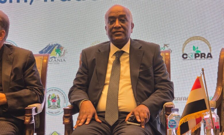 السفير محمد أبو بكر، نائب وزير الخارجية للشؤون الأفريقية