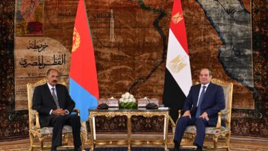 الرئيس السيسي ونظيره الإريتري يعقدان جلسة مباحثات حول التطورات الإقليمية والدولية
