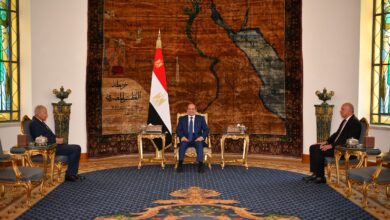 لقاء الرئيس السيسي بأمين عام جامعة الدول العربية