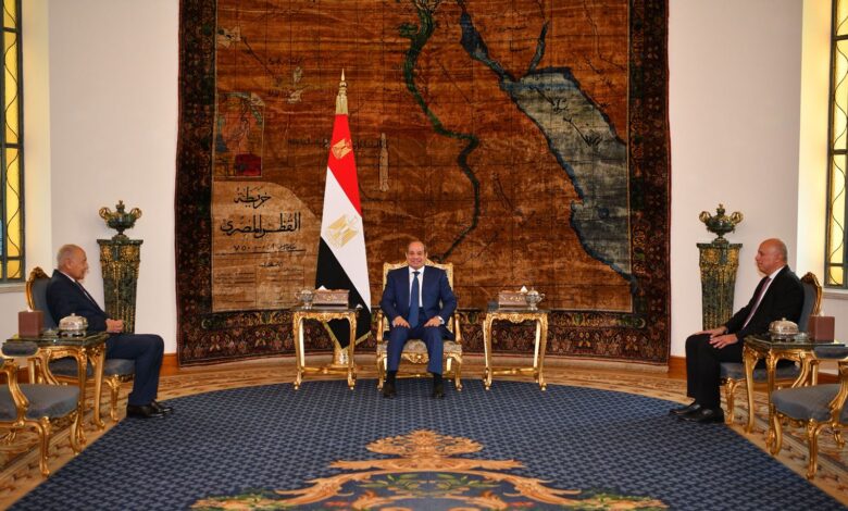 لقاء الرئيس السيسي بأمين عام جامعة الدول العربية