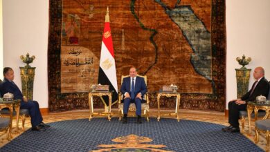 الرئيس السيسي يستقبل المرشح لمنصب أمين جامعة الدول العربية