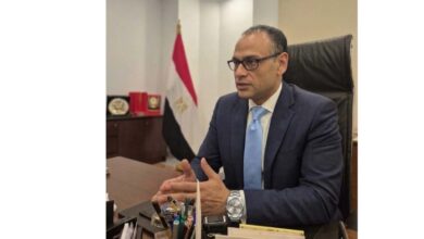 سفير مصر لدى تونس
