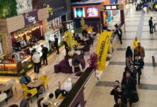 تراجع عدد المصريين المهاجرين 9.9% في 2025