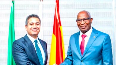 Guinea's Prime Minister: Egypt is a pillar of security and stability in Africa
