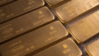 تنزانيا تعزز احتياطياتها من الذهب بـ 28 طنًا