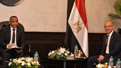 مصر ومدغشقر تفتحان صفحة جديدة من الشراكة الاقتصادية
