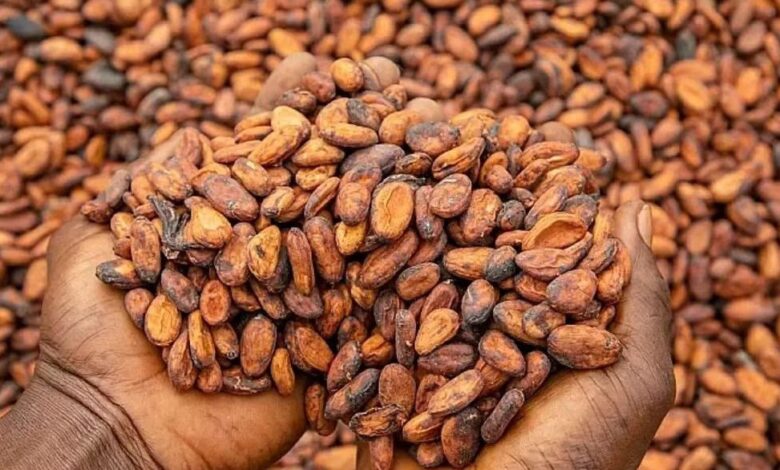 African alliance turns the tables on the chocolate industry: 4 countries intend to end the era of exporting raw cocoa