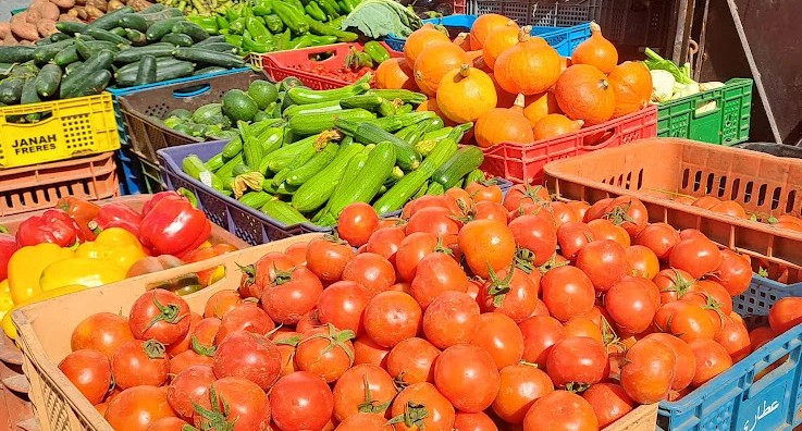 المغرب يتربع على عرش موردي إسبانيا بالخضر والفواكه