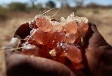مخاوف أممية من تأثير تجارة الصمغ العربي السوداني على تمويل الحرب الأهلية