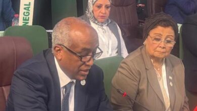 مصر تستعرض تجربتها الصحية أمام القادة الأفارقة
