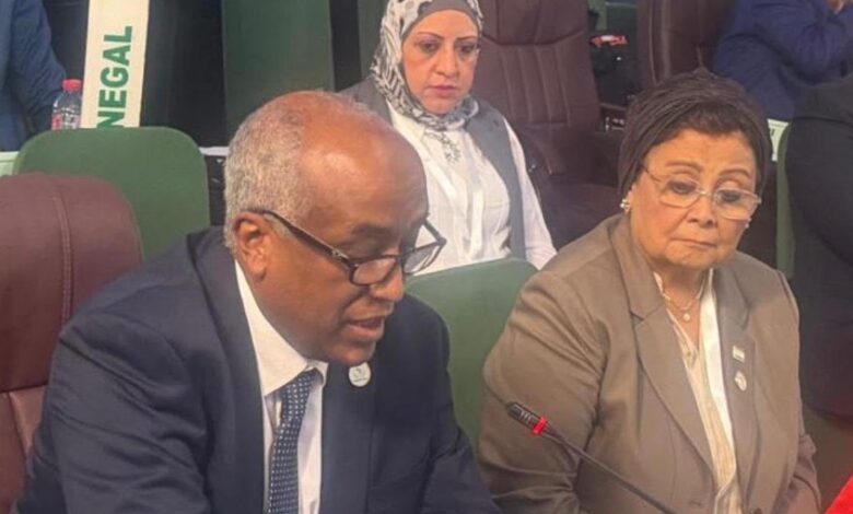 مصر تستعرض تجربتها الصحية أمام القادة الأفارقة