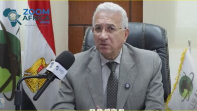 السفير محمد حجازي