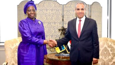 Egypt and Mozambique strengthen their partnership in the economy and security.