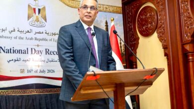 السفير محمد فؤاد