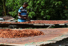 Ghana's inflation fell to 4.6% in July, its first decline since March.