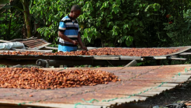 Ghana's inflation fell to 4.6% in July, its first decline since March.