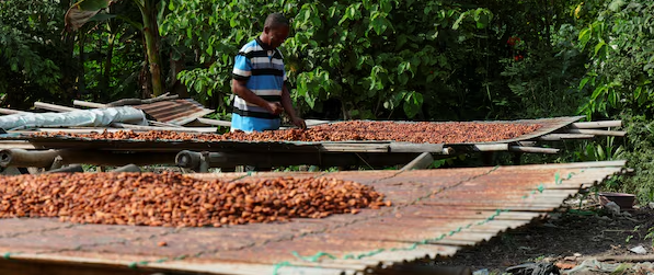 L'inflation au Ghana est tombée à 4,61 TP3T en juillet, enregistrant ainsi sa première baisse depuis mars.