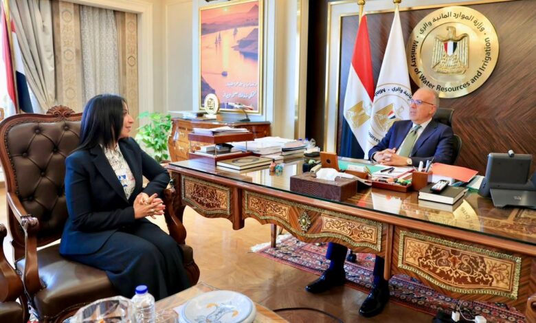 Dr. Hani Sweilem, Minister of Water Resources and Irrigation, and Sally Atef, Chairperson of the Board of Directors and Editor-in-Chief of Zoom Africa News.